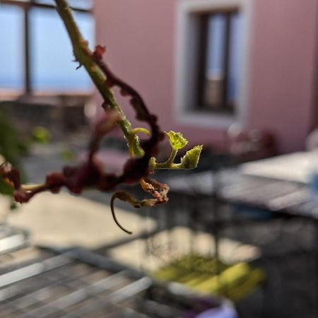 Horizon Pantelleria Bed & Breakfast Campobello ภายนอก รูปภาพ