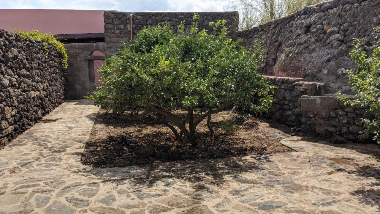 Horizon Pantelleria Bed & Breakfast Campobello ภายนอก รูปภาพ