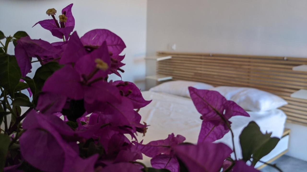 Horizon Pantelleria Bed & Breakfast Campobello ภายนอก รูปภาพ