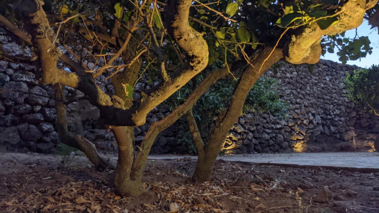 Horizon Pantelleria Bed & Breakfast Campobello ภายนอก รูปภาพ