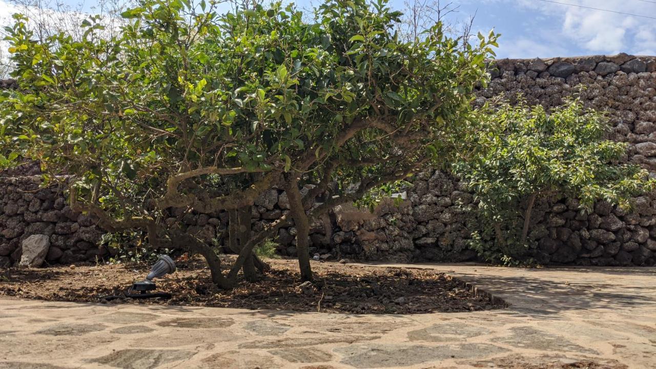 Horizon Pantelleria Bed & Breakfast Campobello ภายนอก รูปภาพ